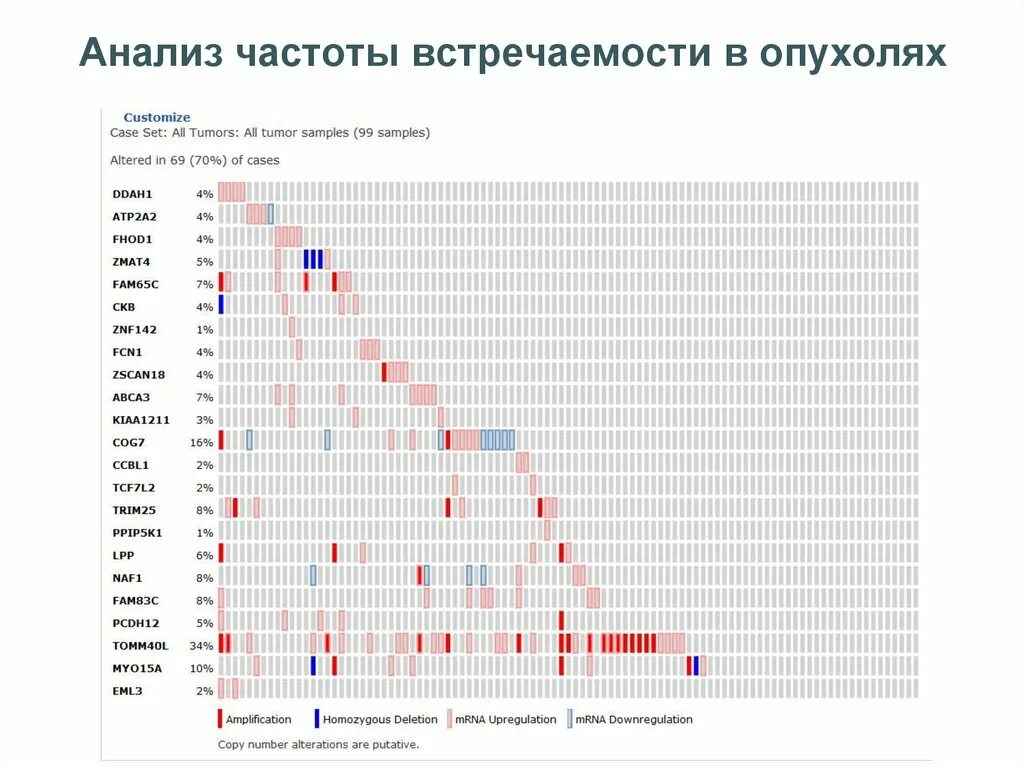 Частота встречаемости. Частота встречаемости опухолей. Анализ частот. Частота встречаемости это в биологии.