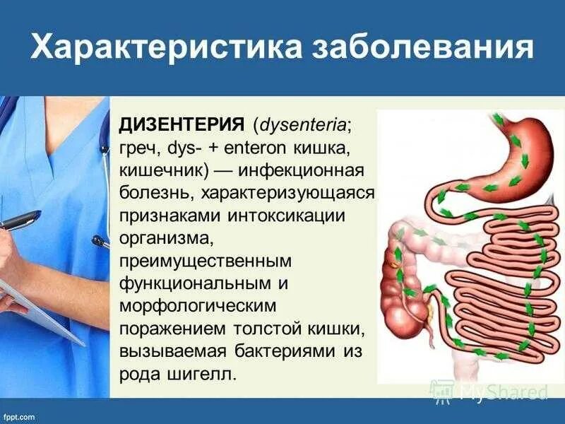 Дизентерия симптомы. Дизентерия характеристика заболевания. дизентерия презентация. дизентерия инфекционные болезни. инфекционные заболевания кишечника.
