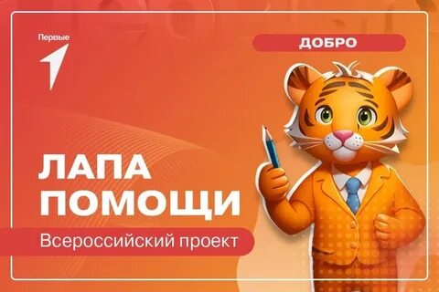 Лапа помощи волонтерская