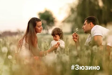 Жизнь идеальной семьи