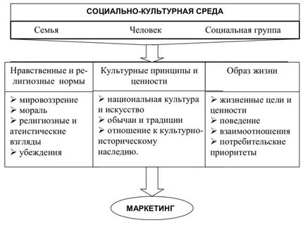 Культурная среда это