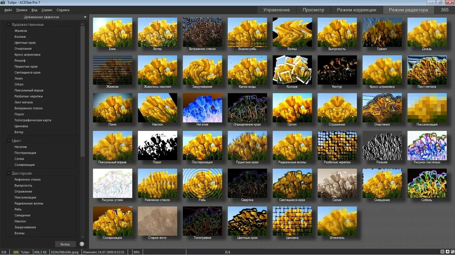 Acdsee pro русский. Acdsee pro. acdsee pro 7. acdsee 3.24. acdsee pro 10.