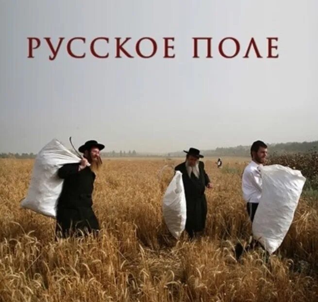 Дай понять поле это. Дай понять поле это