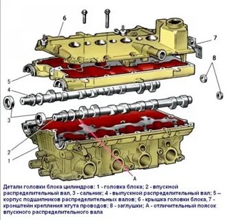 Гбц расшифровка