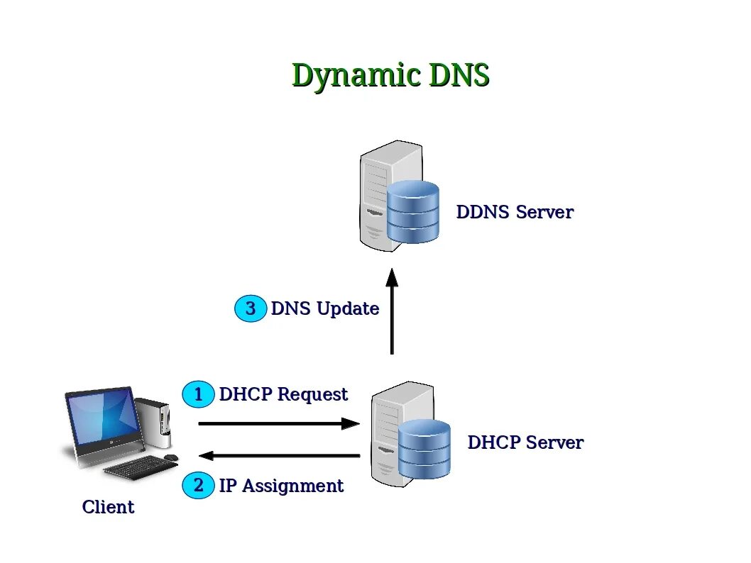 Dynamic name. Dynamic DNS. DNS это в информатике. DDNS И DNS. DNS domain name System.