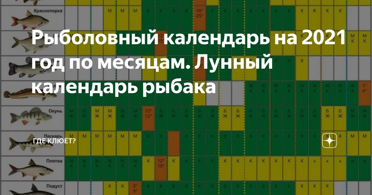 Ловля судака по лунному календарю 2025 года Календарь рыболова башкортостан