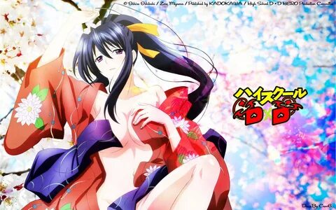 Akeno Himejima Wallpaper.