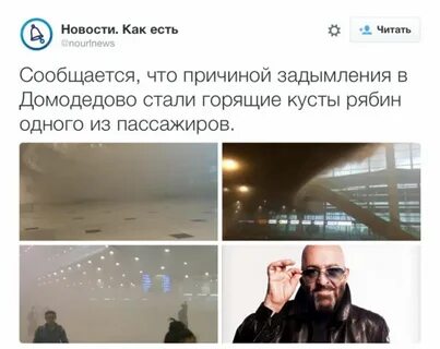 Шуфутдинов день