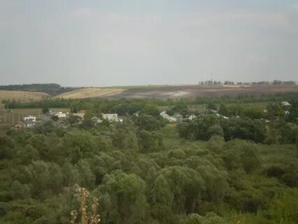 Погода белгородская область село белый колодезь