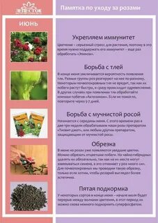 Шпаргалка по розам