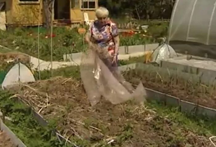 высокие грядки. огород без хлопот. грядки для ленивых. огород в мешках. огород без хлопот ава.