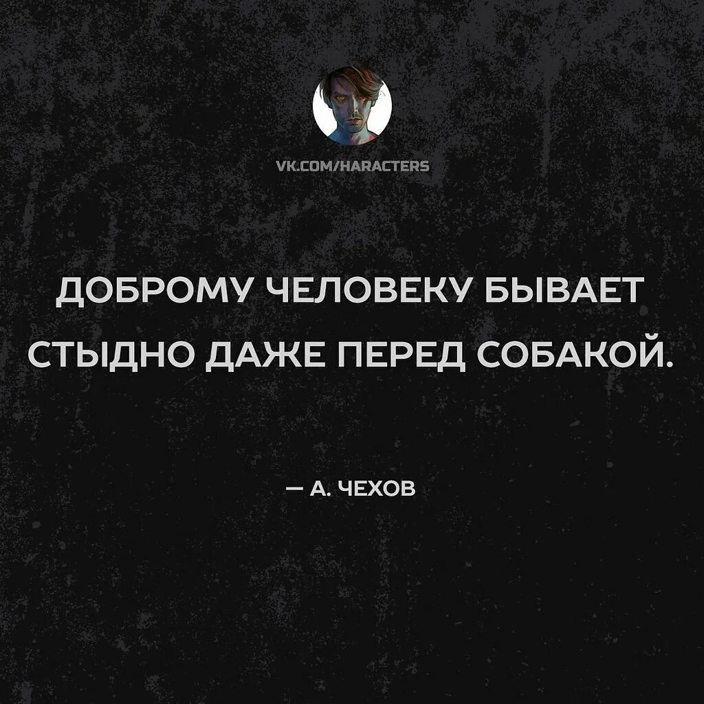 Живи сохраняя покой. Высказывания о характере. Цитаты про характер. Афоризмы про характер человека. Цитаты про сильный характер.