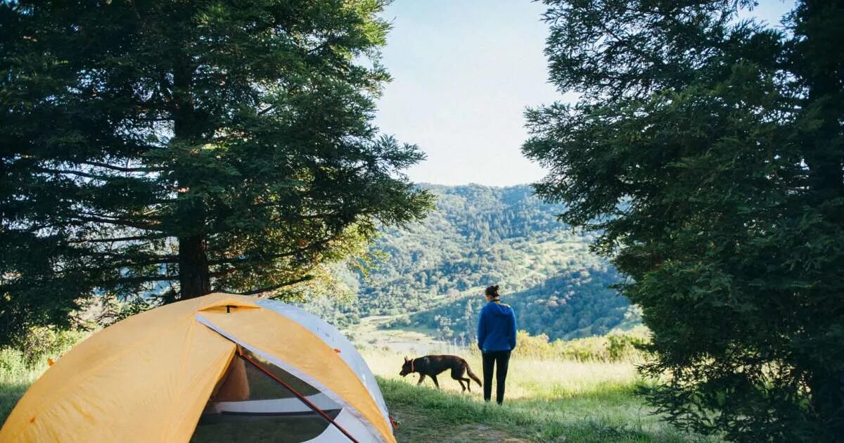 Campgrounds near gaylord mi. The beach camping. Палатка best camp kansas 2. Человек и природа. Питч кемпинг.