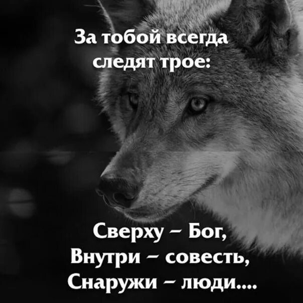 Следить всегда. За тобой всегда следят трое сверху бог. сверху бог внутри совесть снаружи люди. за тобой следят трое сверху бог внутри совесть. за тобой всегда следят.