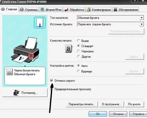 Принтер кэнон не печатает черным. Принтер Эпсон черно белая печать а3. Печать на принтере Epson l100. Параметры печати принтера. Настройка печати принтера.