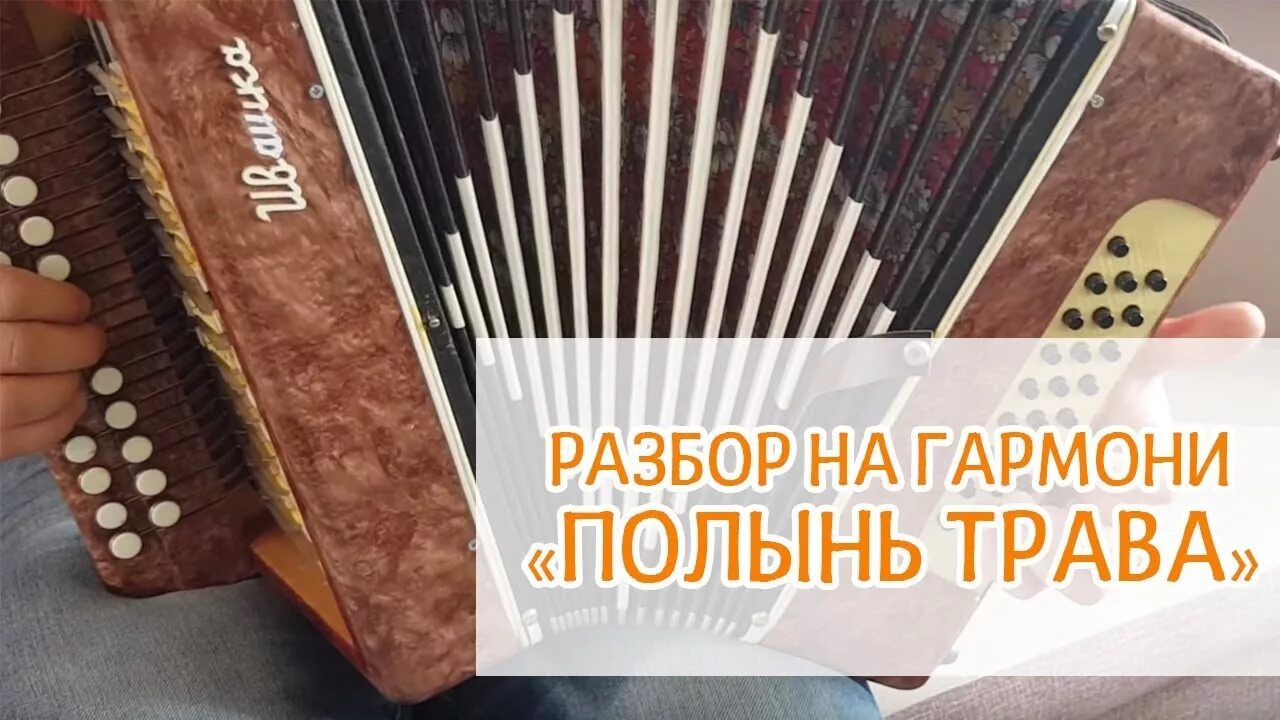 Полынь трава на гармошке. Полынь трава Ноты для гармони. Разбор игры на гармони и.Разумов. Гармонь полынь трава песня