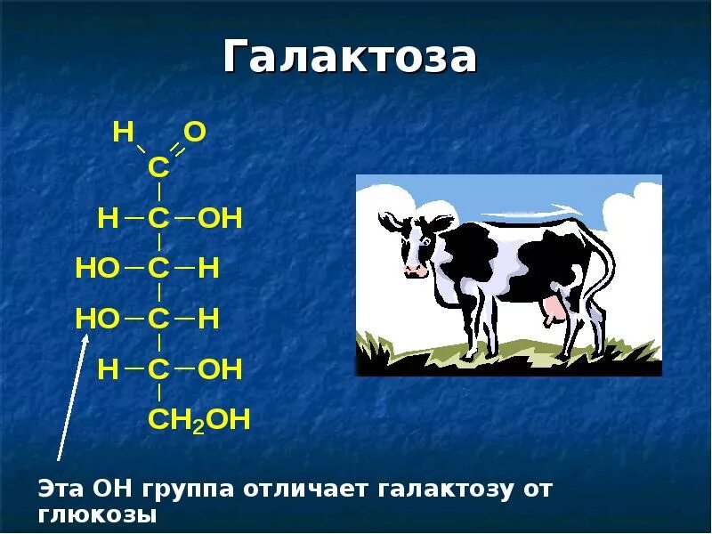 Галактоза. Галактоза строение. Галактоза структура. Галактоза формула.