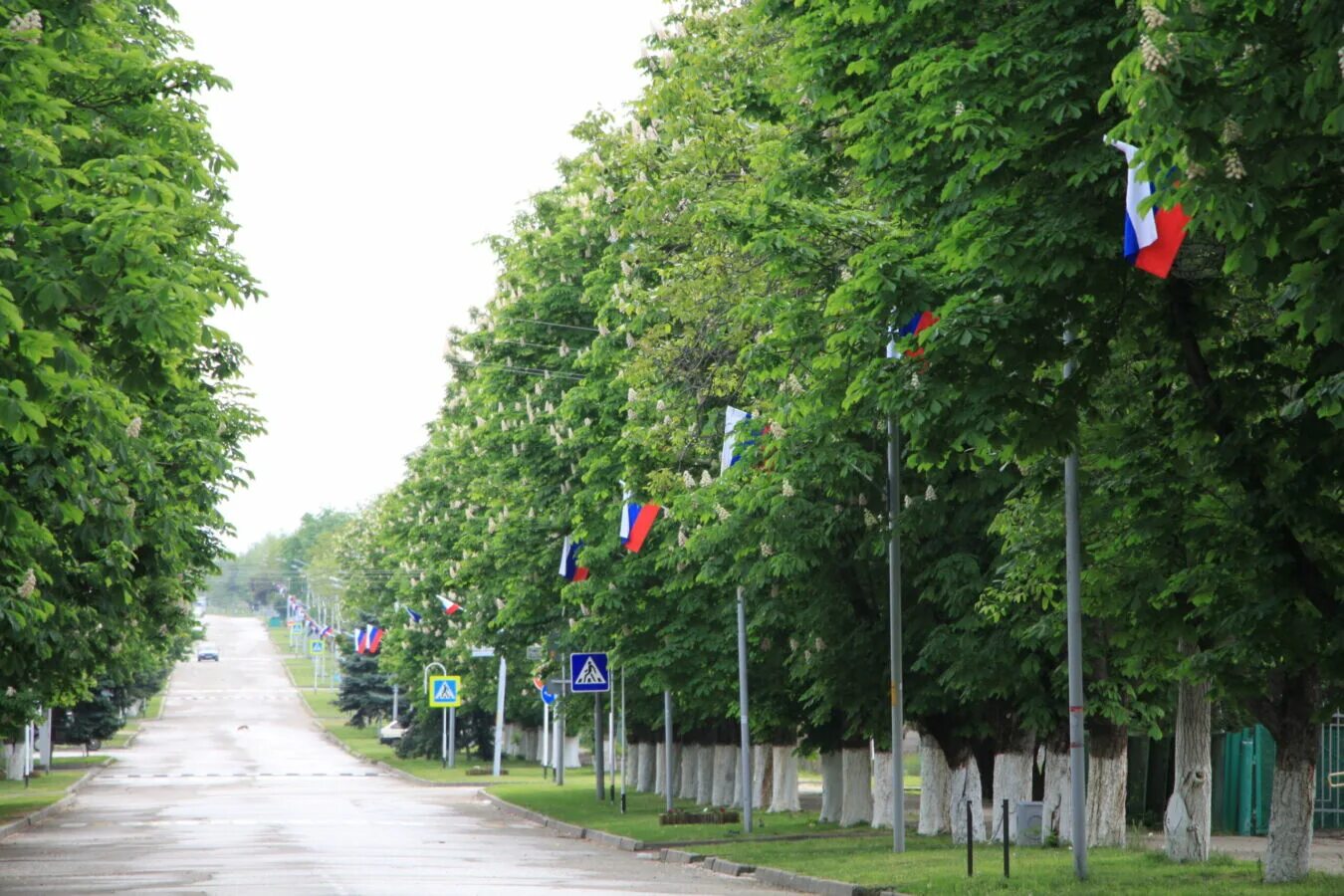 Выселковский район Краснодарский край. Станица Выселки. Выселки Краснодарский край природа. Достопримечательности станицы Выселки Краснодарского края.