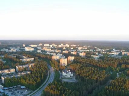 Город лес день