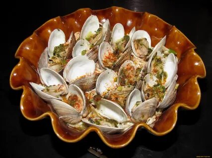 Ракушки дона