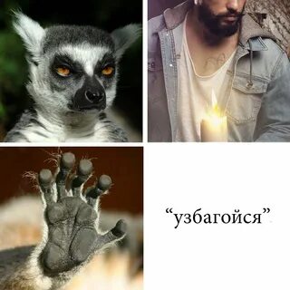 Мем узбагойся картинки
