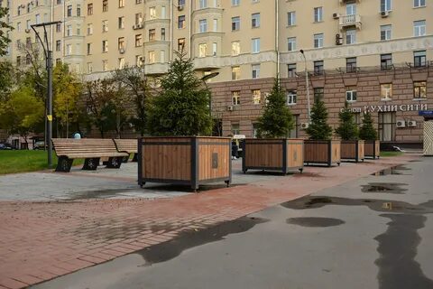 Улица 2015