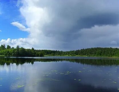 Горки курганская область
