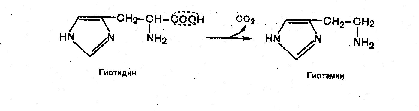 Декарбоксилирование гистидина реакция. Декарбоксилирование гистамина реакция. Декарбоксилирование ГИС реакция. Схему реакции образования гистамина.
