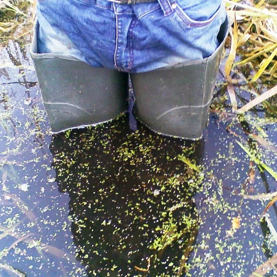 Сапоги swamp. Swamp Rubber Boots. Swamp cebo Rubber Boots. Girl in Swamp Boots. Сапоги Swamp Dingo.