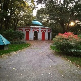 Нескучный сад салмановых