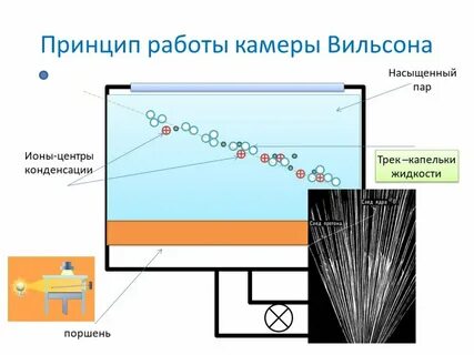 Принцип действия вильсона
