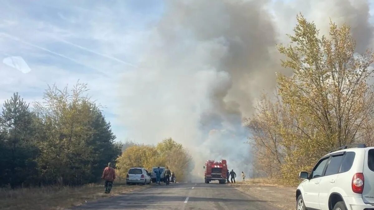 Пожары в Богучарском районе Воронежской области. Пожары Воронеж 2020. Природные пожары в Воронежской области в 2020. Пожар в селе Калинино Воронежская область. Хлопки в воронежской области