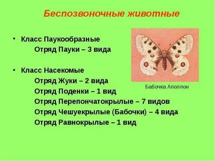 Беспозвоночные животные 3