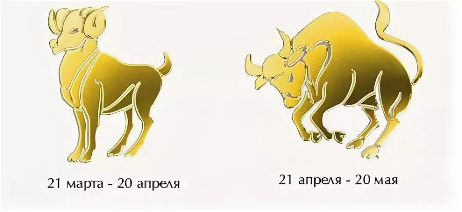Совнестимостьзнаков зодиака. Овен мужчина и телец. Овен телец козерог. Между тельцом и овном. Совместимость овна и тельца.