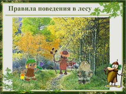 Правила безопасного поведения в лесу летом