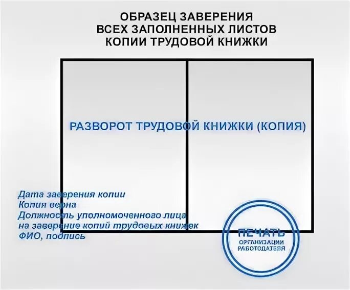 Как заверить трудовую книжку. Заверение трудовой книжки копия верна. Как заверить трудовую книжку образец. Как правильно заверить копию трудовой. Правильно заверить трудовую образец
