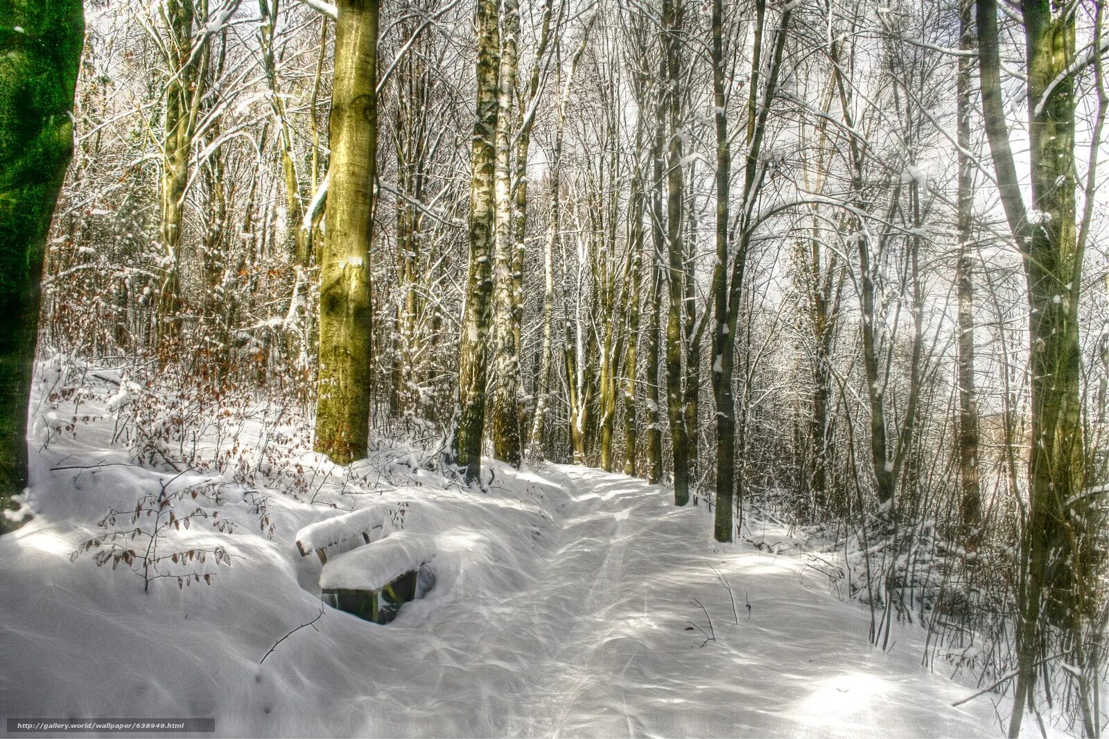 Предложение песня в лесу. Песенка леса. Предложение песня в лесу. Детские песни ноты. Добрый лес ноты.