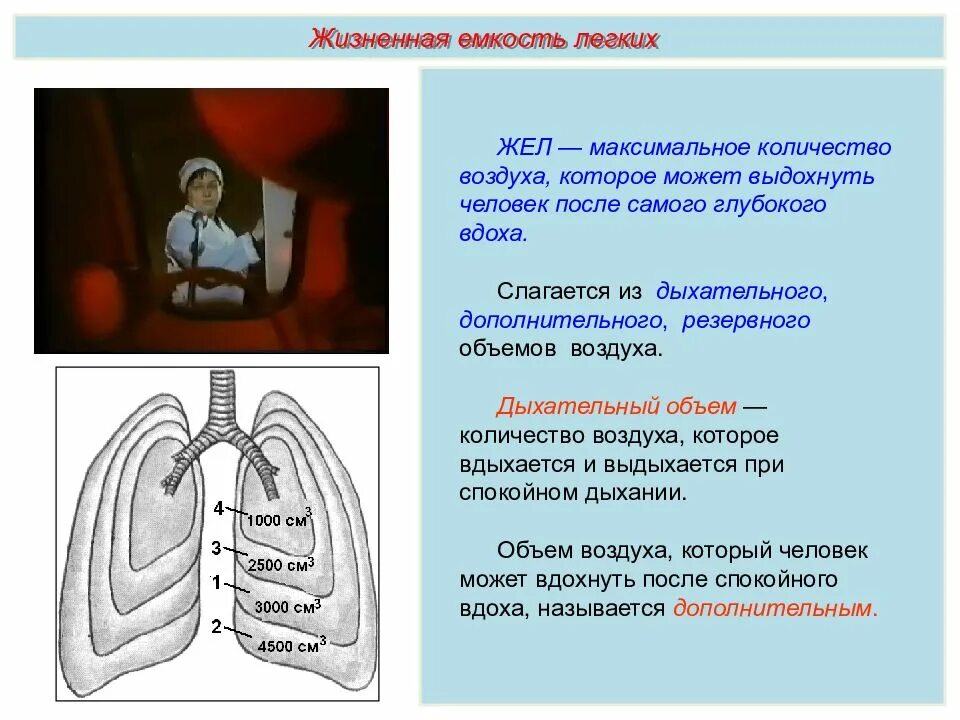 Наибольшая емкость легких. Жизненный объём лёгких. Жизненный объём лёгких человека. Объем жизненной емкости легких. Объём лёгких взрослого человека.