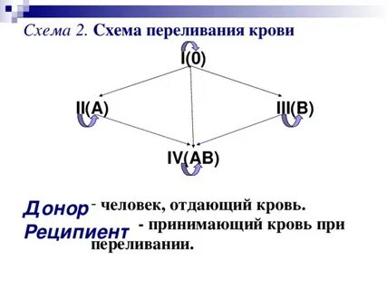 Составьте схему под
