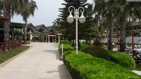 Oz hotels incekum beach hotel 5 отзывы