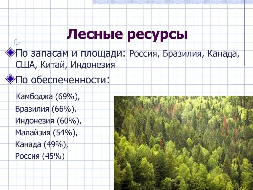 Классификация лесных ресурсов