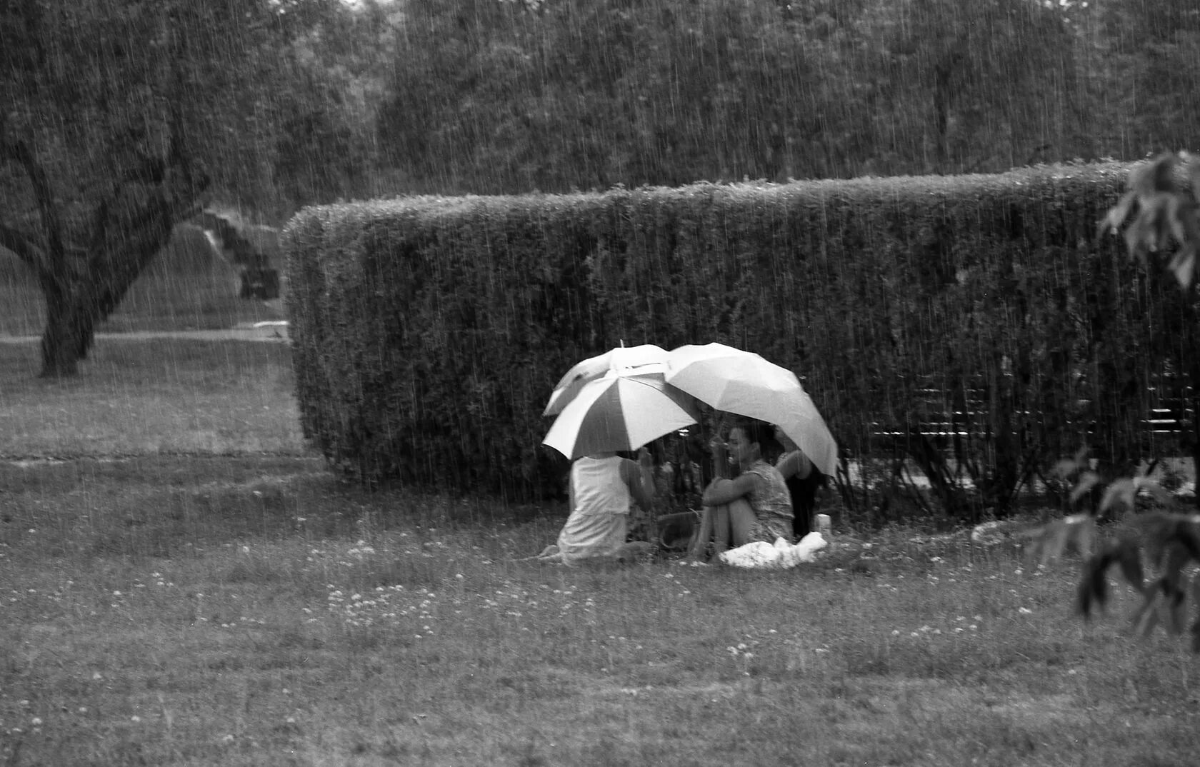 If the weather we a picnic