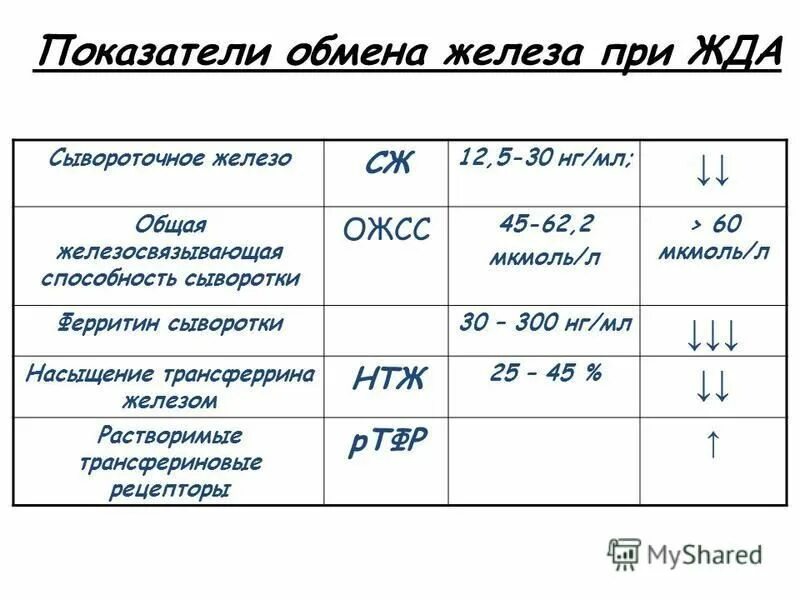ферритин ожсс сывороточное железо. исследование сывороточного показателя обмена железа. норма ожсс и сывороточного железа. уровень сывороточного железа в норме у детей. норма сывороточного железа в крови.