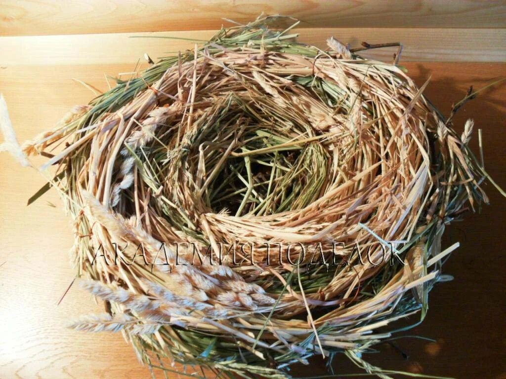 Nest create