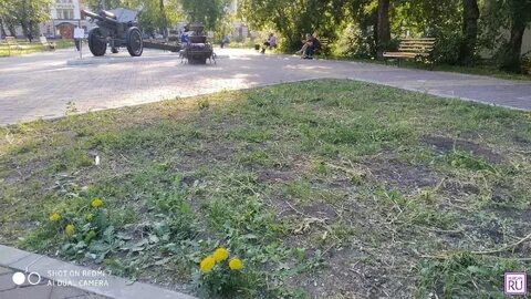 Почему зарастали