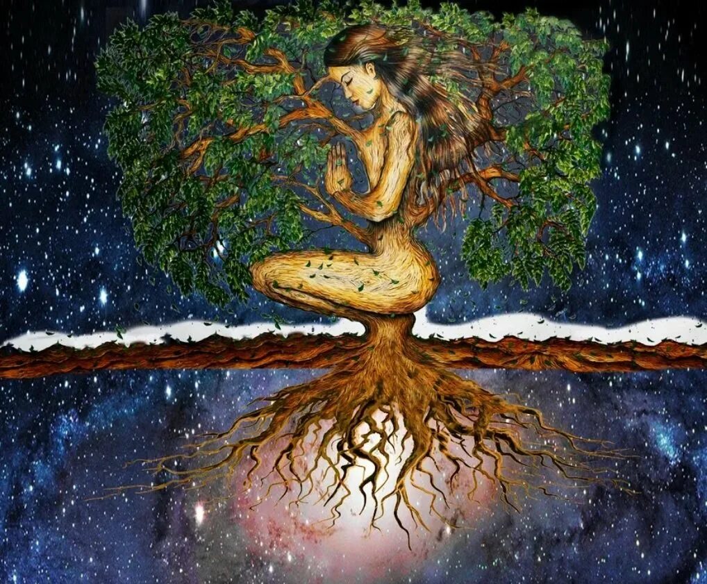 Медитация земля. Родовые энергии. Сила рода. Исцеление рода. Сила рода Древо. Женщина дерево. Под силу.