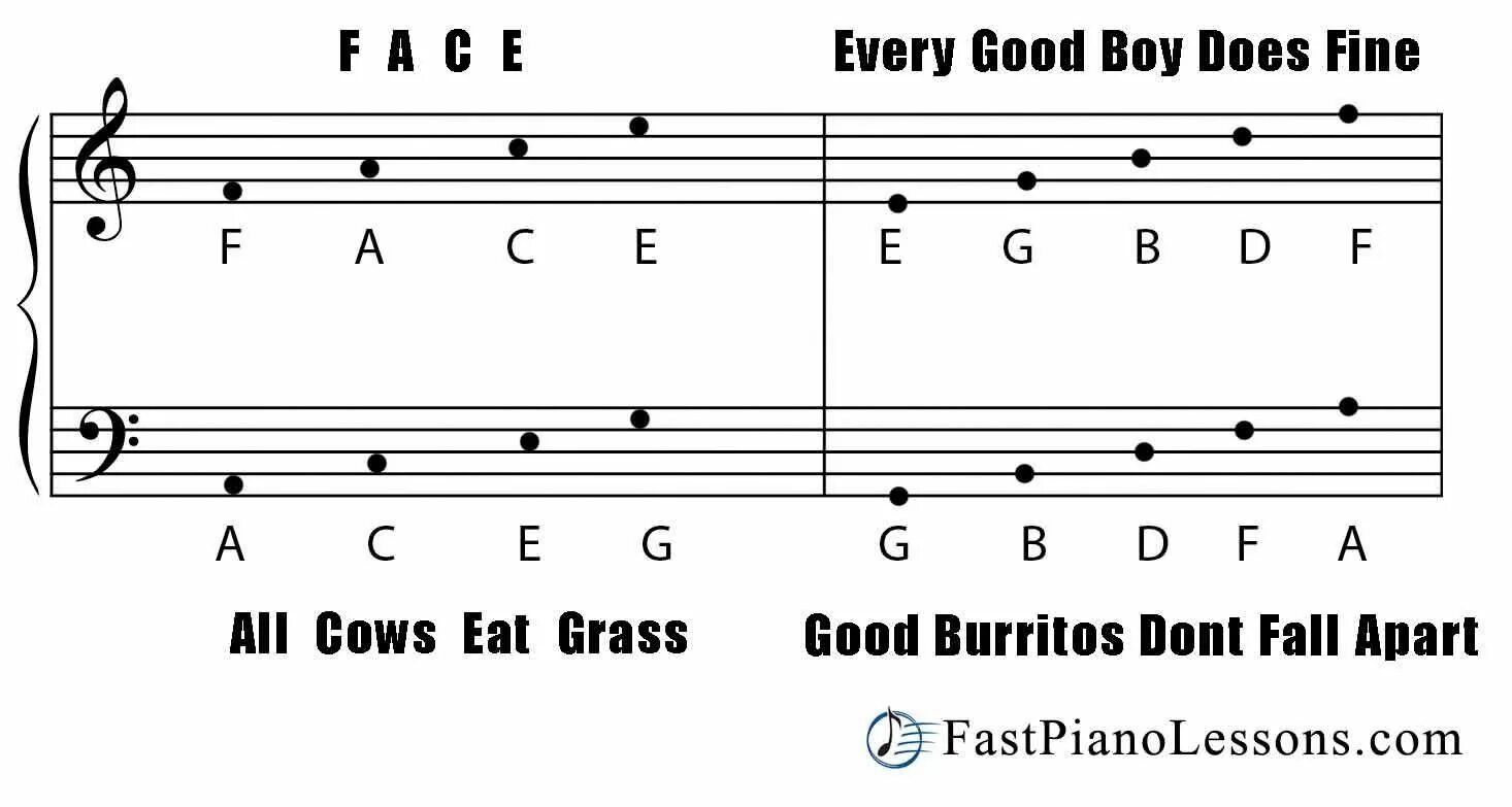 How to read notes. How to read notes