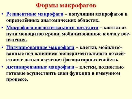 Типы макрофагов
