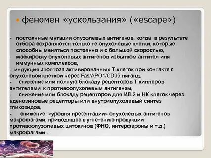 Феномен результата