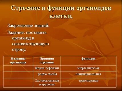 Биология 6 класс таблица органоиды растительной клетки